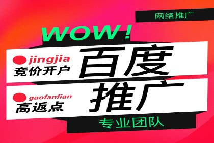 百度推广运营成功故事：品牌与效果的双重胜利